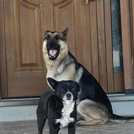 La Tana Alojamento de Turismo Rural *