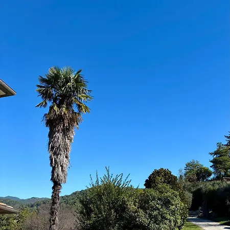 La Tana *
