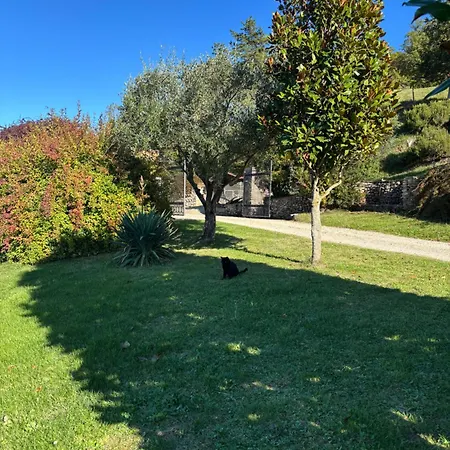 La Tana