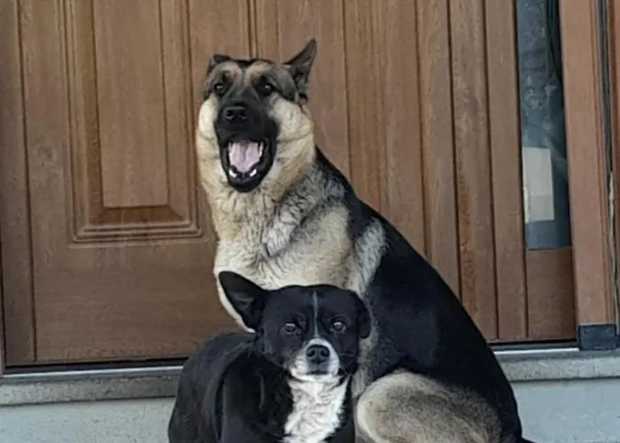 La Tana Feriegård *