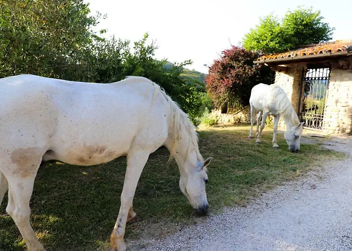 La Tana Città di Castello